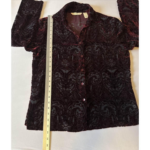 French Laundry Women’s S Whimsigoth Silk Red Velvet Burnout Button Down Shirt - Picture 8 of 9
